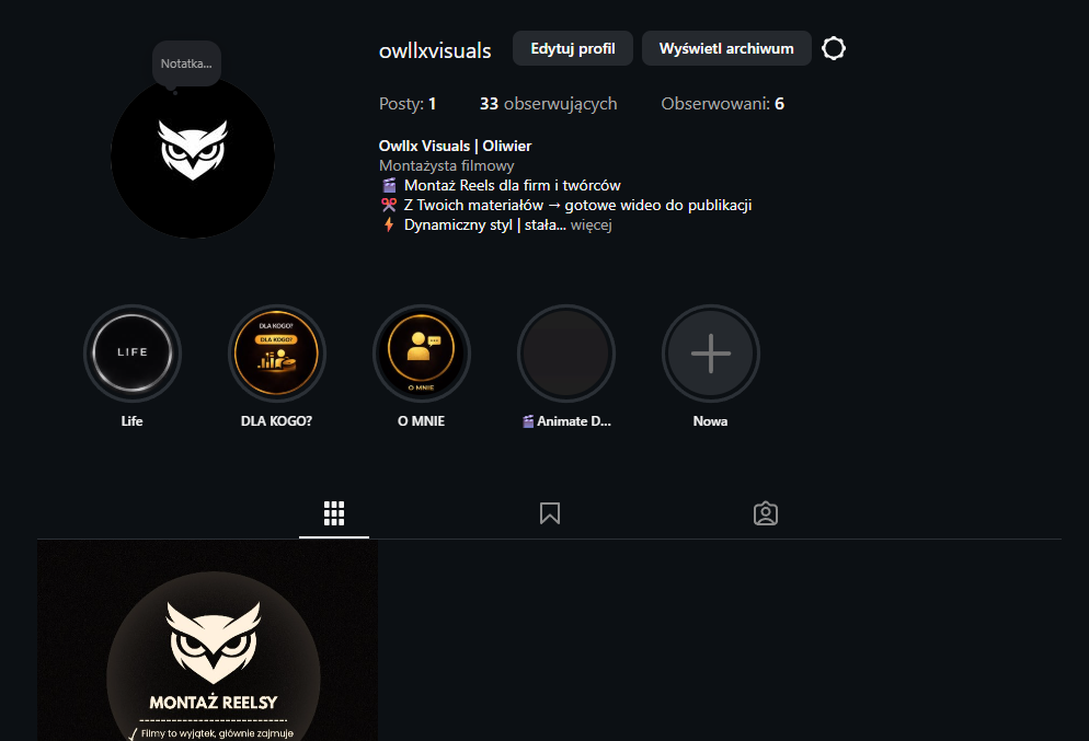 Podgląd profilu Instagram